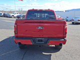 New 2025 Ford F150 XLT w/ Equipment Group 303A High image 5
