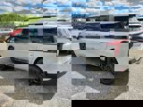 New 2026 Kia Carnival SX Prestige image 5