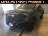 New 2025 GMC Sierra 1500 Elevation image 5