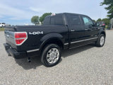 Used 2014 Ford F150 Platinum image 4