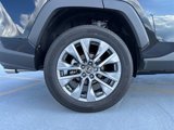 New 2025 Toyota RAV4 XLE Premium image 5