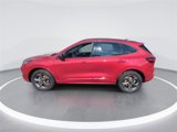 Used 2024 Ford Escape ST-Line image 5