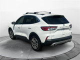 Used 2022 Ford Escape SEL image 3