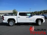 New 2025 Toyota Tundra SR5 image 2
