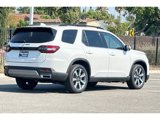 New 2025 Honda Pilot Elite image 4