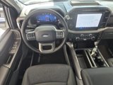 New 2025 Ford F150 XLT w/ Equipment Group 302A MID image 4