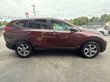 Used 2019 Honda CR-V EX-L image 4