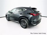 Certified 2024 Lexus NX 350 AWD w/ Premium Package image 5