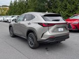 New 2026 Lexus NX 350 AWD w/ Premium Package image 4