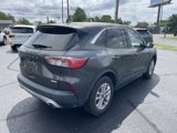 Used 2020 Ford Escape SE image 4
