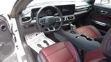 New 2025 Ford Mustang GT Premium image 2