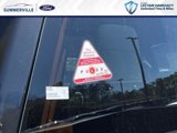 New 2025 Ford F150 XLT w/ Equipment Group 302A MID image 4