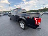 Used 2016 Ford F150 XLT image 3