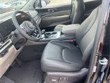 New 2026 Kia Carnival image 4