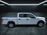 Used 2019 Ford F150 XLT w/ Trailer Tow Package image 6