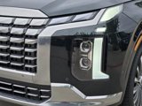 New 2025 Hyundai Palisade Calligraphy image 5