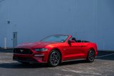 Used 2021 Ford Mustang GT Premium w/ Equipment Group 401A image 6
