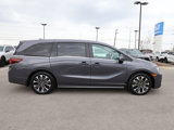 New 2025 Honda Odyssey Elite image 4