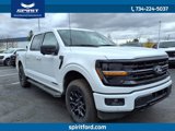 New 2025 Ford F150 XLT w/ Equipment Group 302A MID image 3