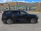 New 2025 Hyundai Palisade Calligraphy image 2