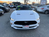Used 2018 Ford Mustang GT Premium w/ Equipment Group 401A image 4