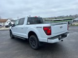 New 2025 Ford F150 XLT w/ Equipment Group 302A MID image 3