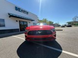 Used 2018 Ford Mustang Premium image 6