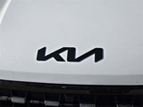 New 2025 Kia Carnival SX Prestige image 5