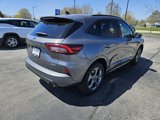 Used 2024 Ford Escape ST-Line image 3