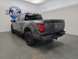 New 2025 Ford F150 XLT image 5