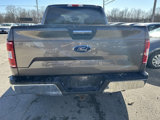 Used 2020 Ford F150 XLT w/ Equipment Group 302A Luxury image 5