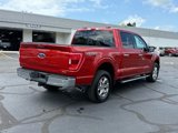 Certified 2023 Ford F150 XLT w/ Equipment Group 302A High image 4