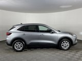 Used 2024 Ford Escape Active w/ Tech Pack #2 image 5