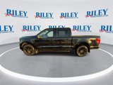 New 2025 Ford F150 XLT w/ Equipment Group 302A MID image 5
