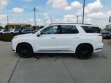 New 2025 Hyundai Palisade Calligraphy image 2