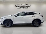 Used 2024 Lexus NX 250 AWD w/ Cold Area Package image 2