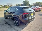 Used 2020 Lexus NX 300 AWD w/ Premium Package image 6