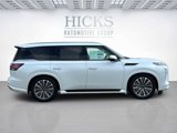 New 2025 INFINITI QX80 Sensory w/ Premium Cargo Package image 4