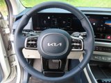 New 2026 Kia Carnival SX image 4