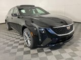 New 2026 Cadillac CT5 Premium Luxury w/ Technology Package image 3