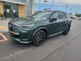 New 2026 INFINITI QX60 Autograph w/ Dark Cargo Package image 2