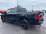 Used 2024 Ford F150 XLT image 6