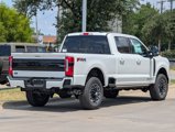 New 2025 Ford F250 Platinum image 5
