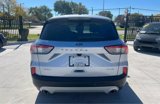 Used 2022 Ford Escape SEL image 6
