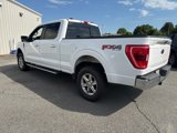 Used 2022 Ford F150 XLT w/ Equipment Group 302A High image 4