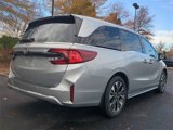 New 2025 Honda Odyssey Elite image 4