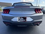Used 2024 Ford Mustang Premium image 5