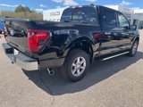 New 2025 Ford F150 XLT image 5