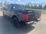 New 2025 Ford F150 Lariat w/ Equipment Group 501A Mid image 5