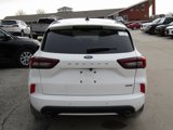 New 2025 Ford Escape ST-Line Elite w/ Premium Technology Package image 4